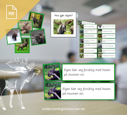PDF Setningskort: Hva gjør elgen? - adjektiv og adverb