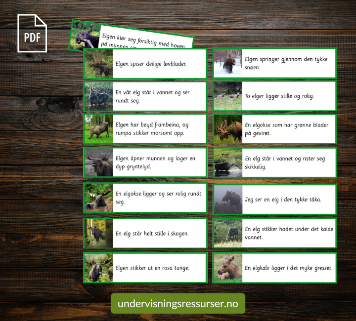 PDF Setningskort: Hva gjør elgen? - adjektiv og adverb