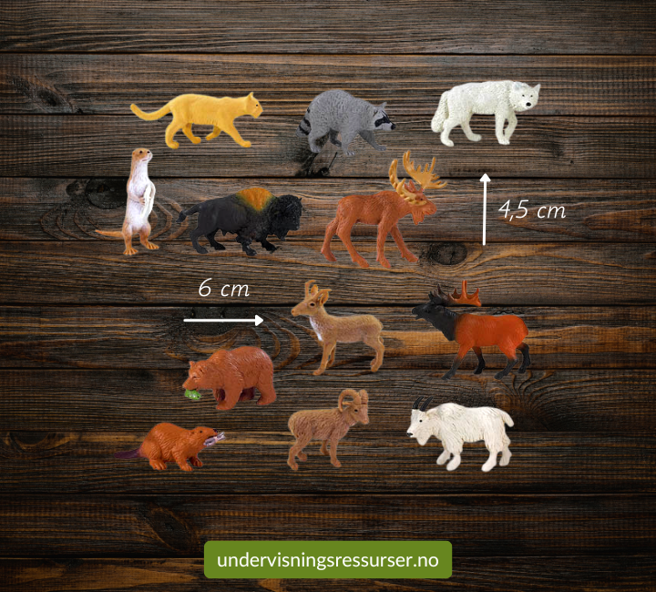 Dyrelivet i Nord-Amerika: Miniatyrfigurer, ville dyr, sett 12 stk