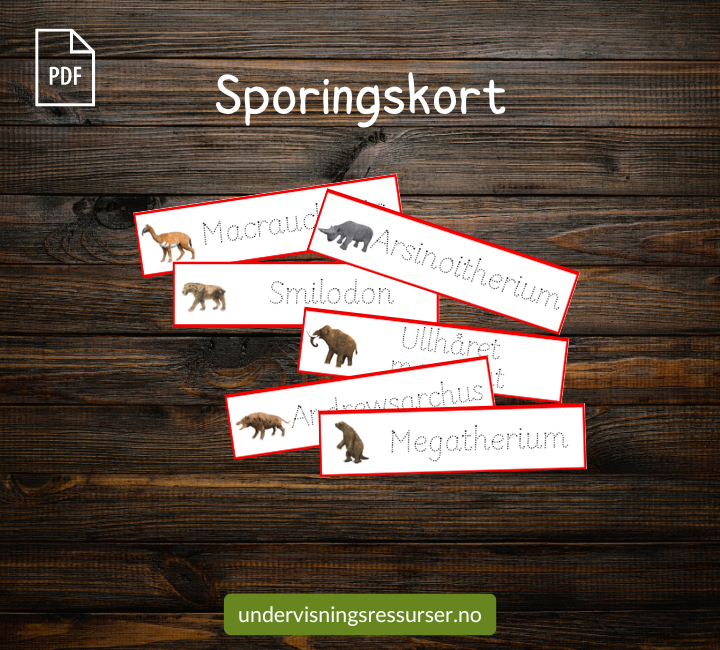 PDF Forhistoriske dyr, istidsdyr - Flashcards, arbeidsark & fargeleggingsark