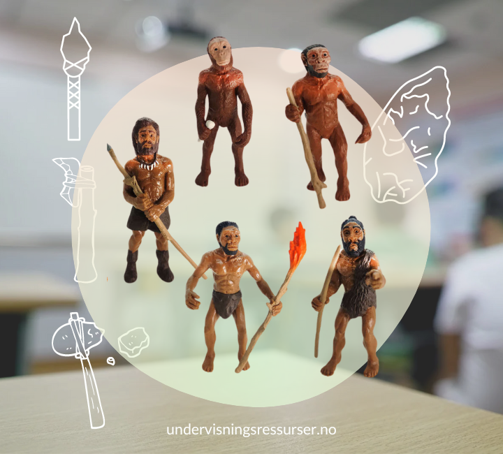 Menneskets evolusjon, menneskets utvikling figurer