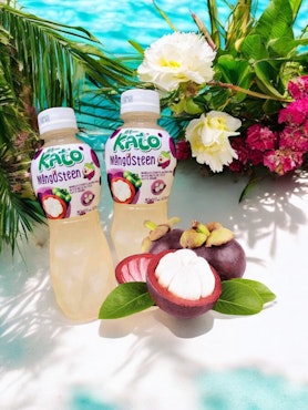 Kato - Drink Mangosteen With Nata De Coco 320ml