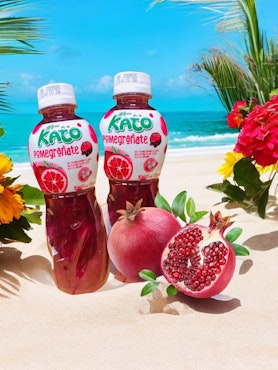 Kato - Drink Pomegranate fruit With Nata De Coco 320ml