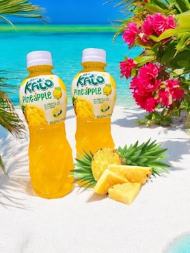 Kato - Drink Pineapple fruit With Nata De Coco 320ml