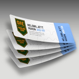 Helgbiljett (4 personer)