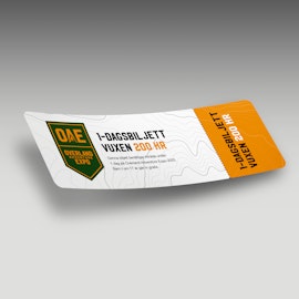 Dagbiljett (1 person)