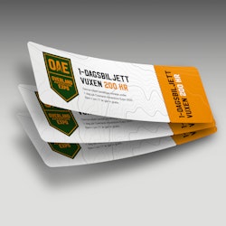 Dagbiljett (3 personer)