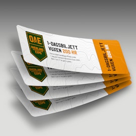 Dagbiljett (4 personer)