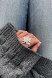 Lotus Exclusive