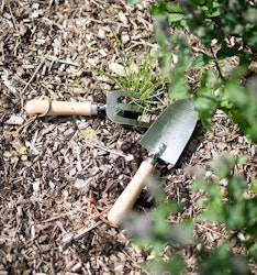 Kopia Spira Redskap plantering