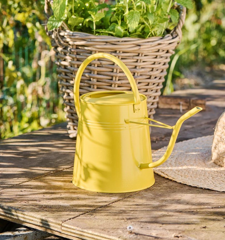 Vattenkanna Gul 2,3L