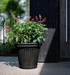 Demeri Kruka Stor för utomhus Svart