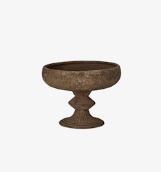 Daga Pokal rost M