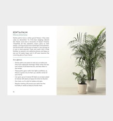 Coffe Tabel Books / Little Book for Plant Parents