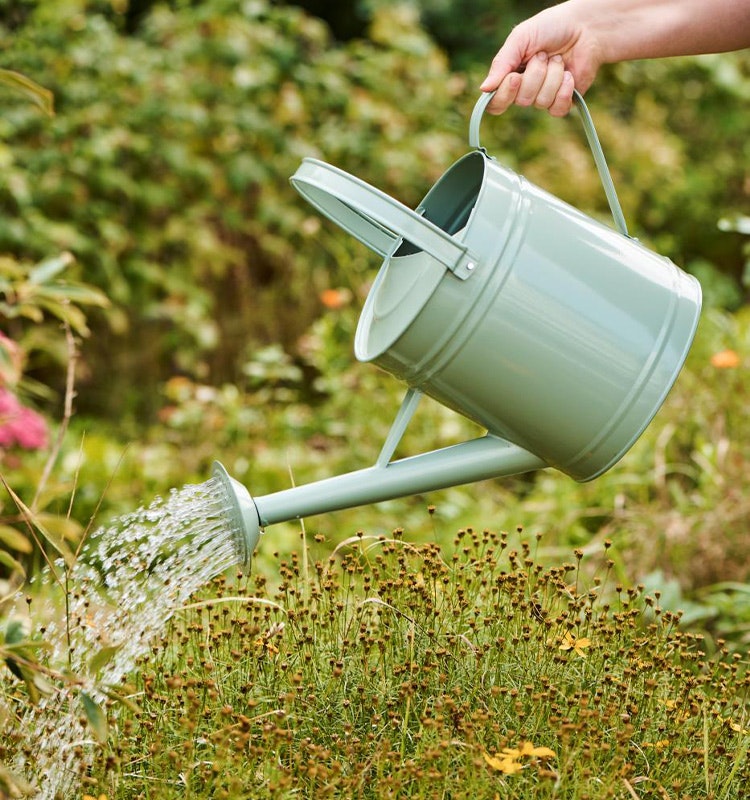 Vattenkanna Ljus Grön 6,3 L