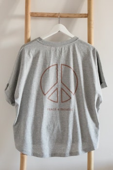 Serenity T-shirt Grey