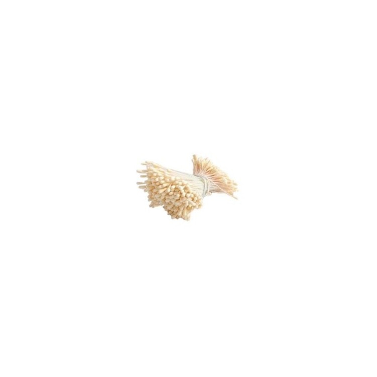 Stamens  MS2/002