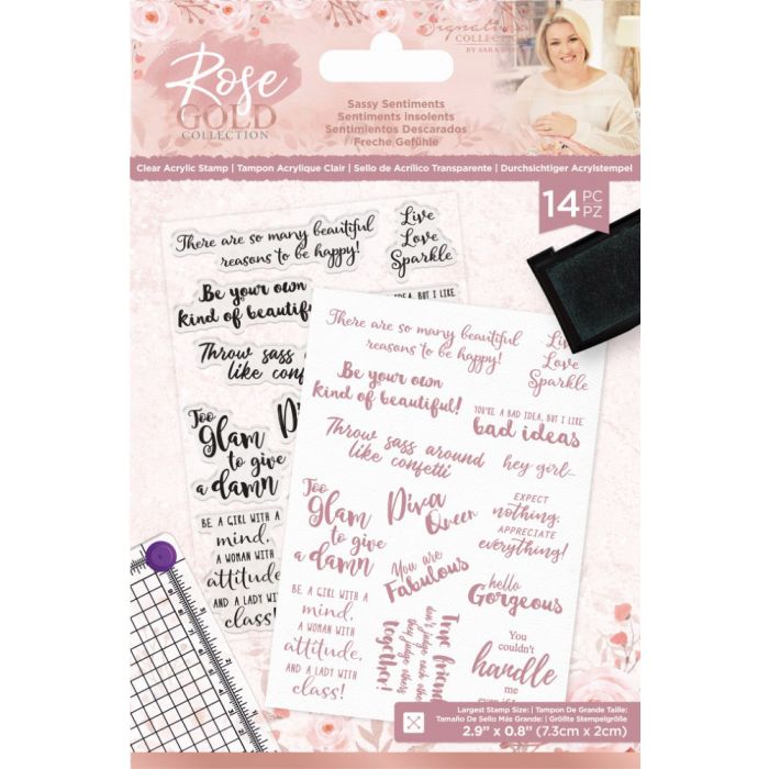 A6 Clear Acrylic Stamp - Sassy Sentiments