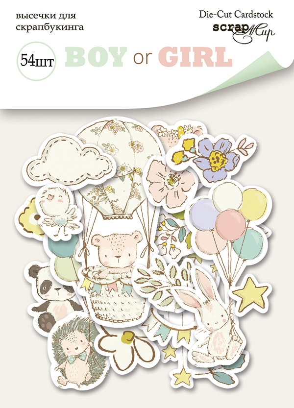 Boy or Girl die cuts