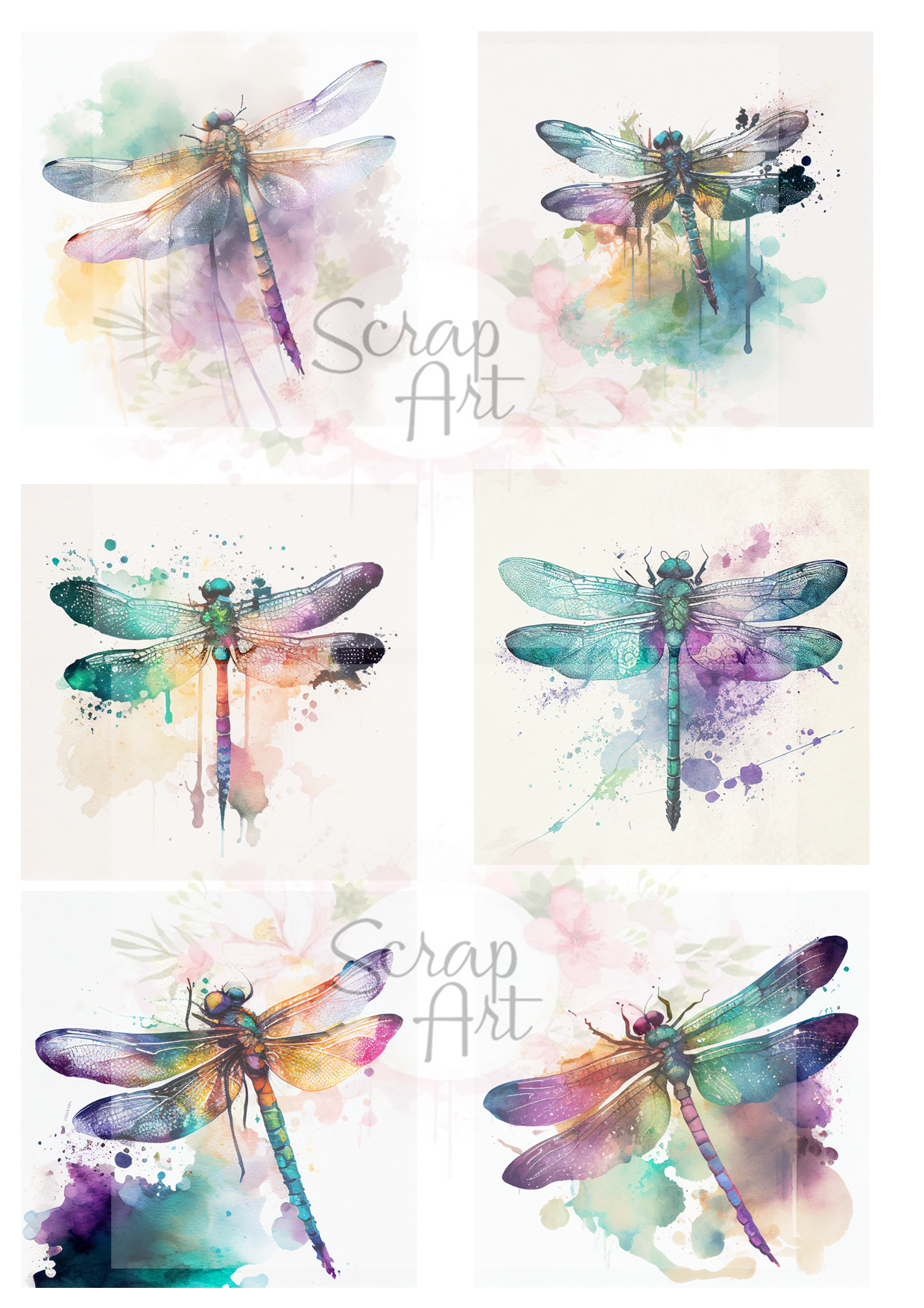 0106 Dragonflies