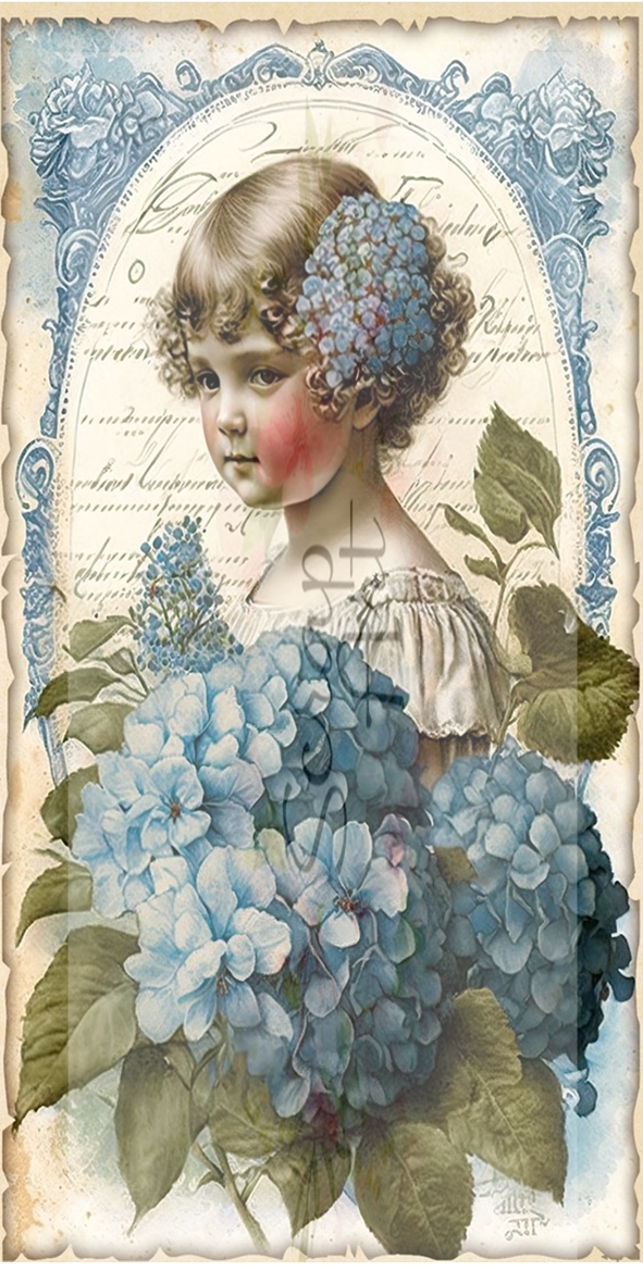 Blå hortensia 4