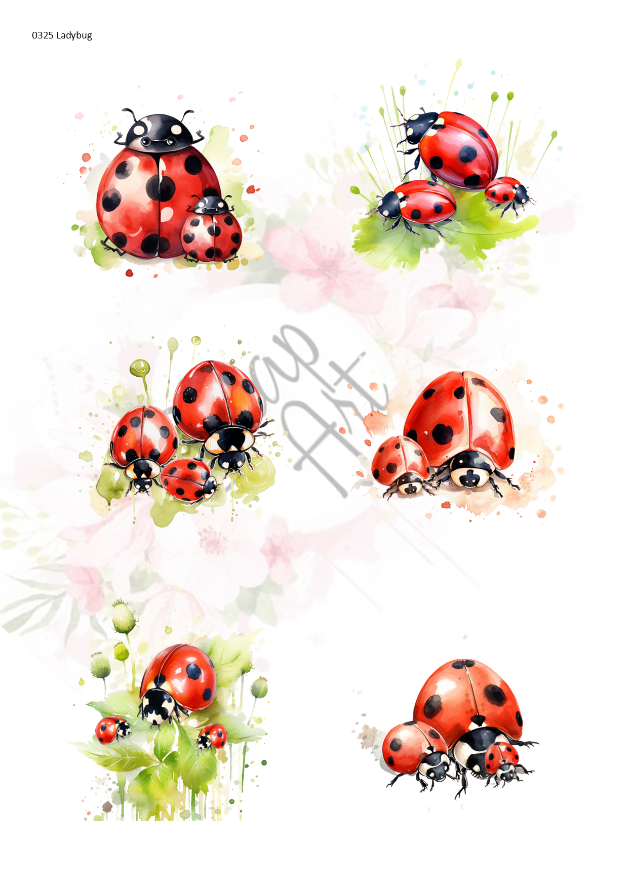 0325 Ladybug