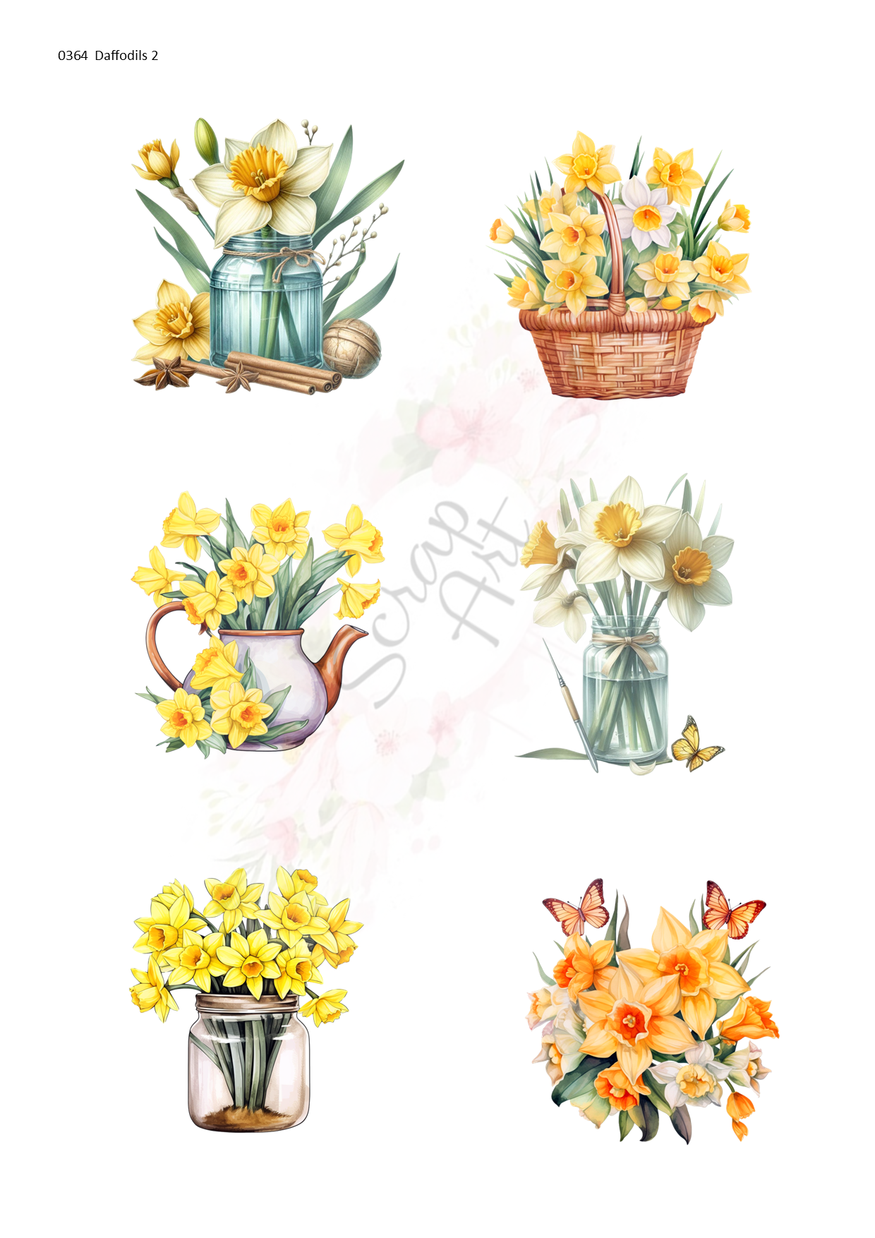 0364 Daffodils 2