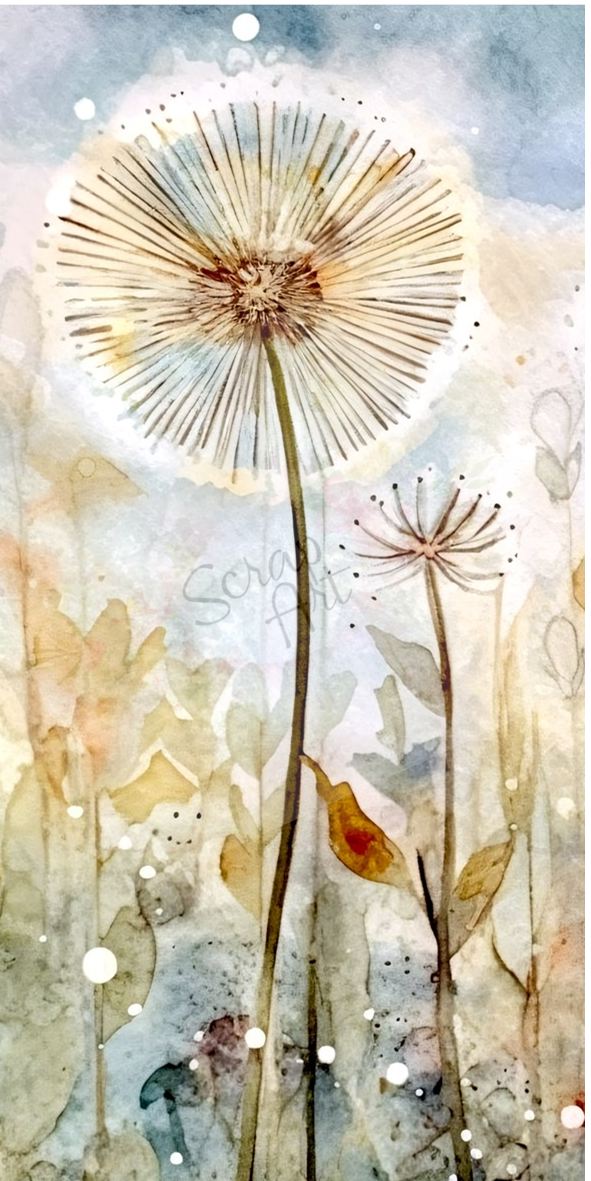 Dandelions 5