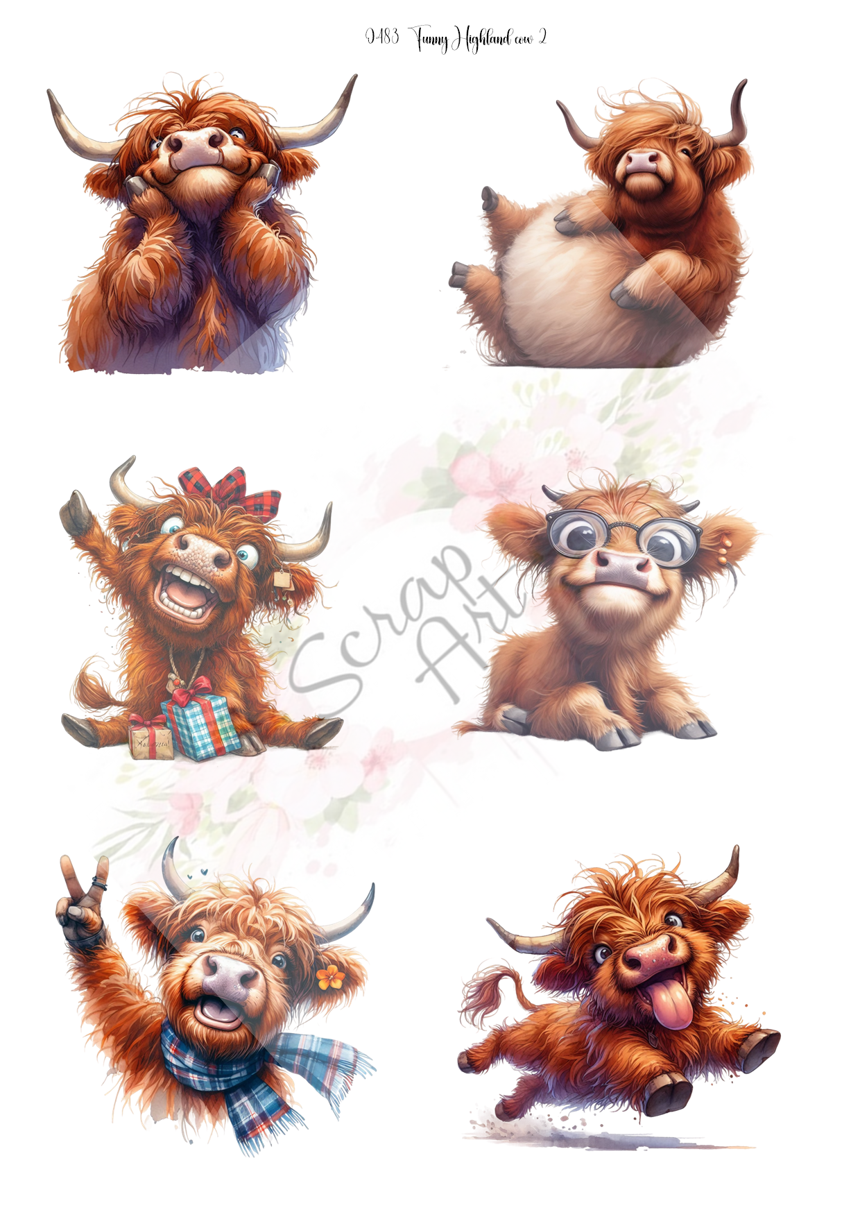 0483 Funny highland cow 2