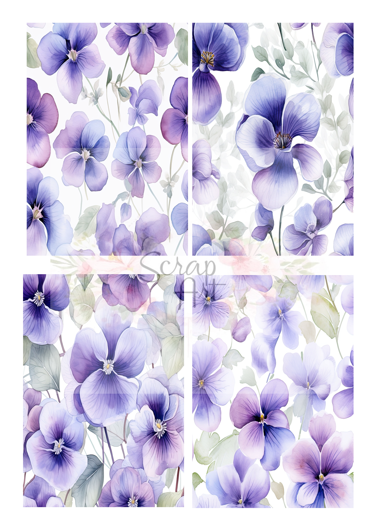 Violer 2