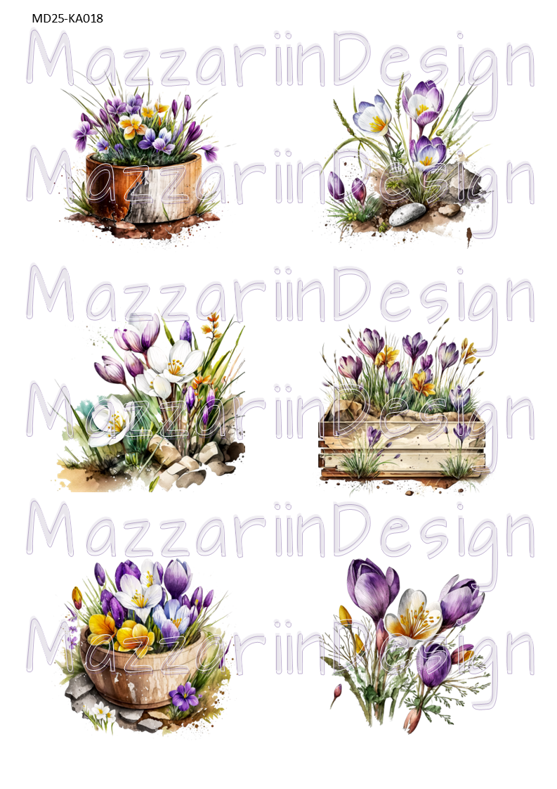 KA018 vårblommor