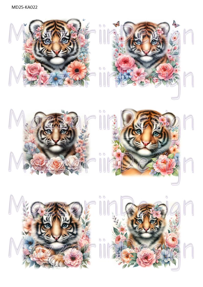 KA022 tigerbebisar