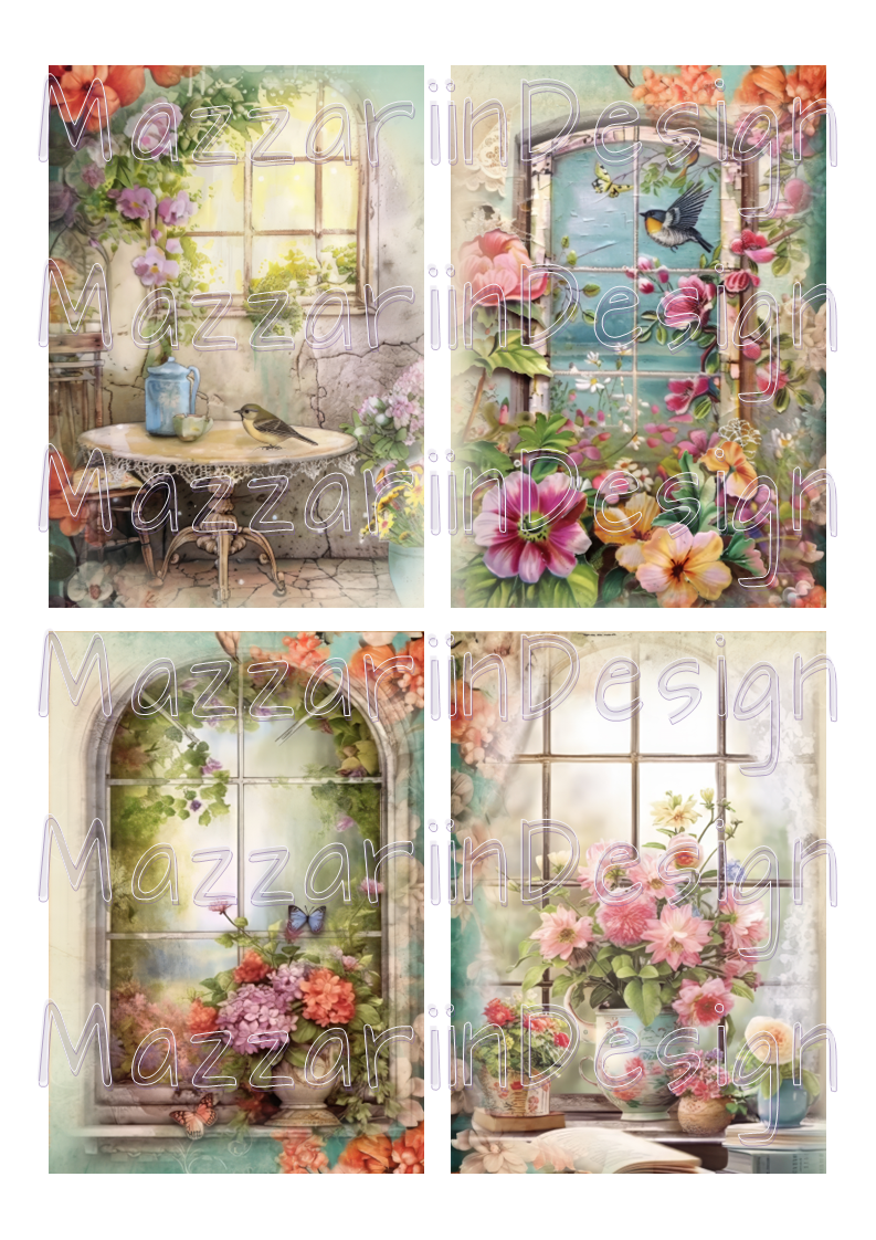 Windows 02
