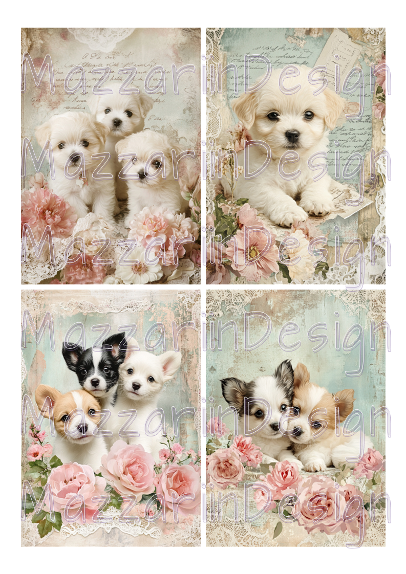 A4 puppies 01