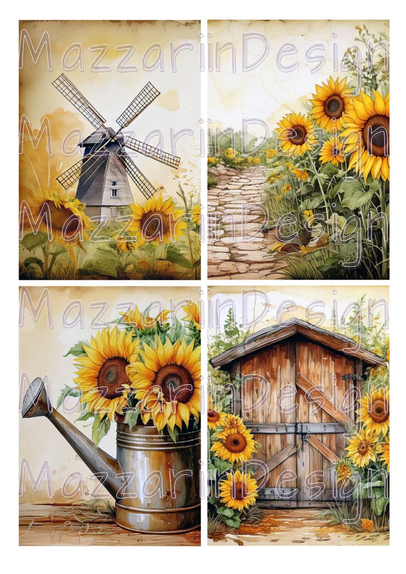 A4 sunflower01