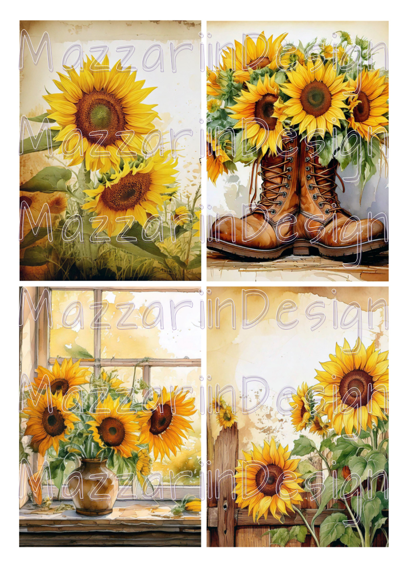 A4 sunflower02