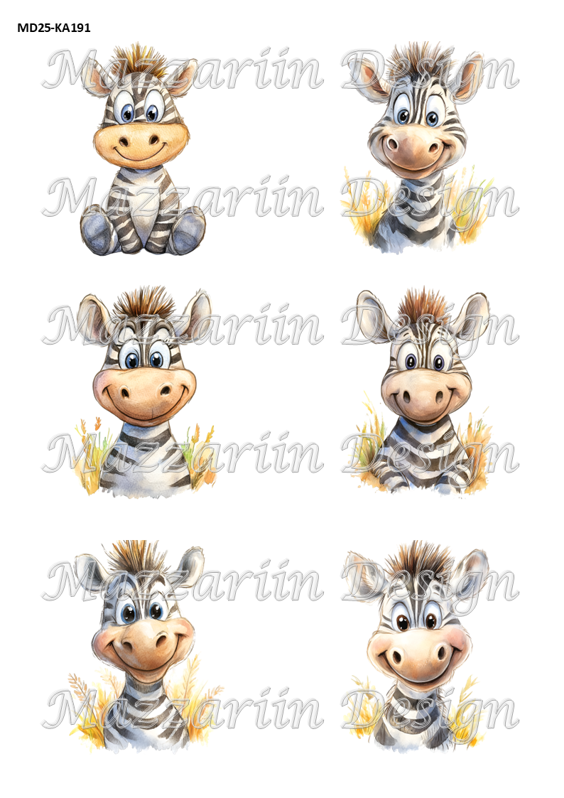 KA191 Baby zebra