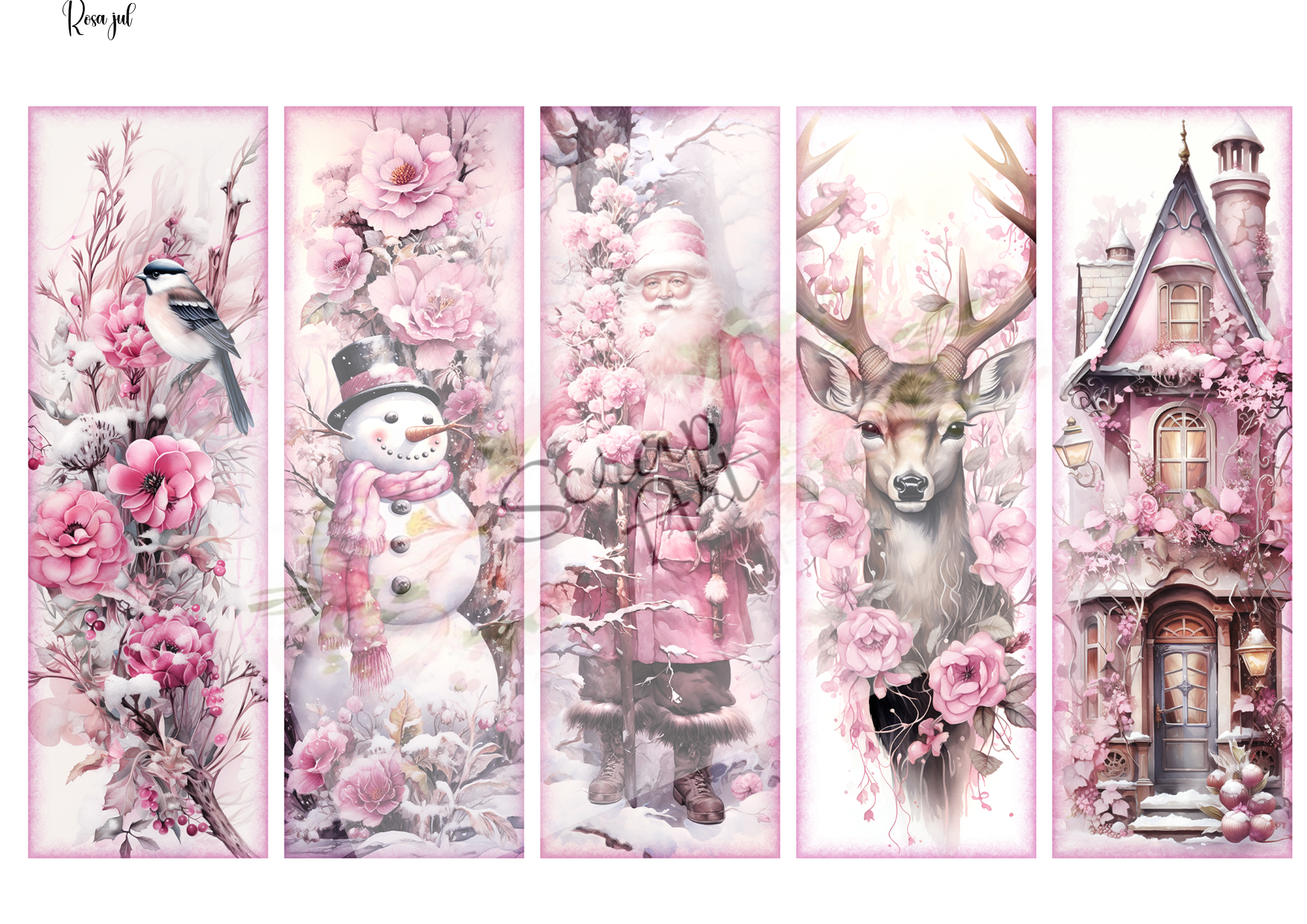 Rosa Jul 1