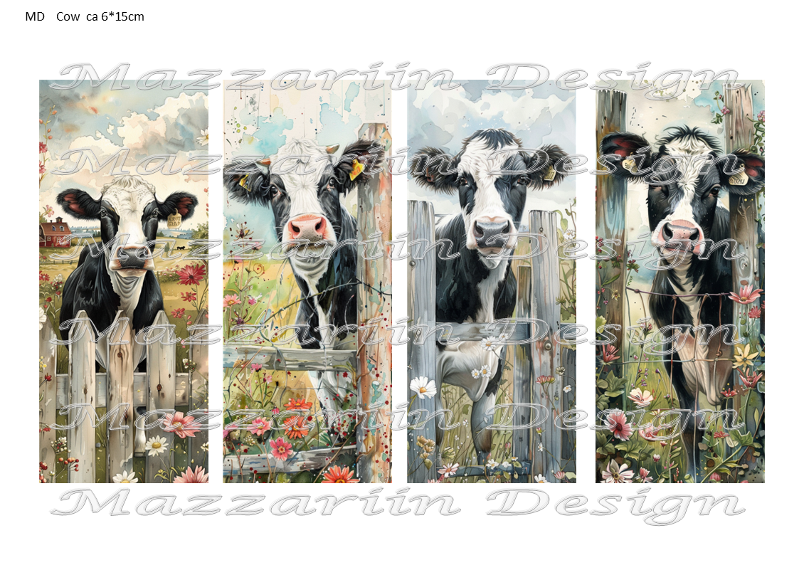 Midi001 Cow