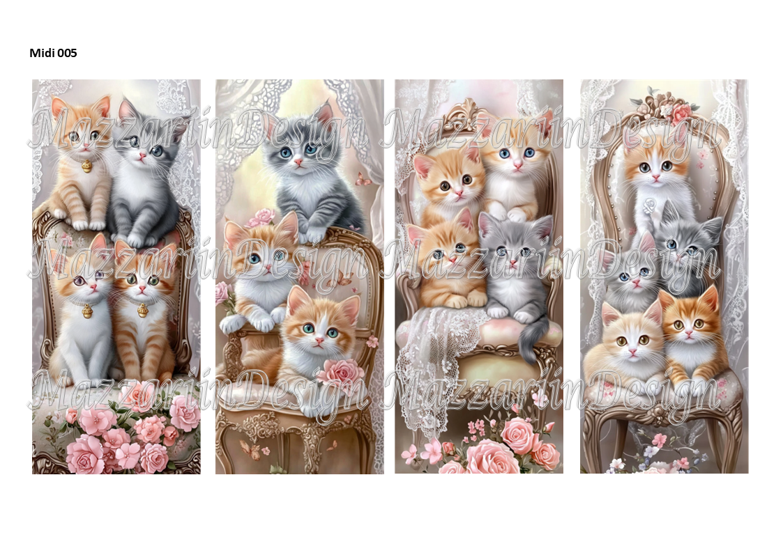 Midi005 Kittens