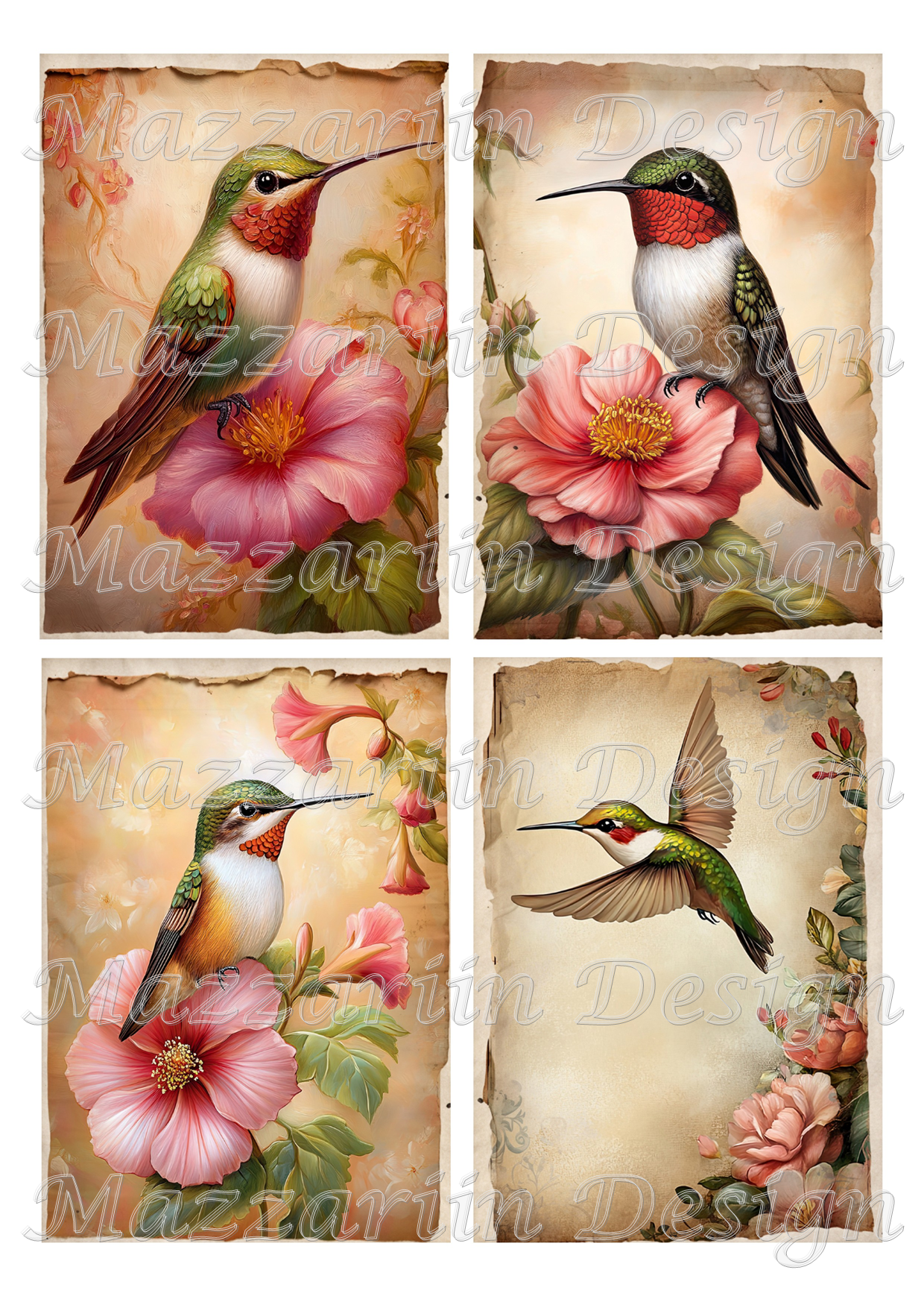 A4 Hummingbird 01
