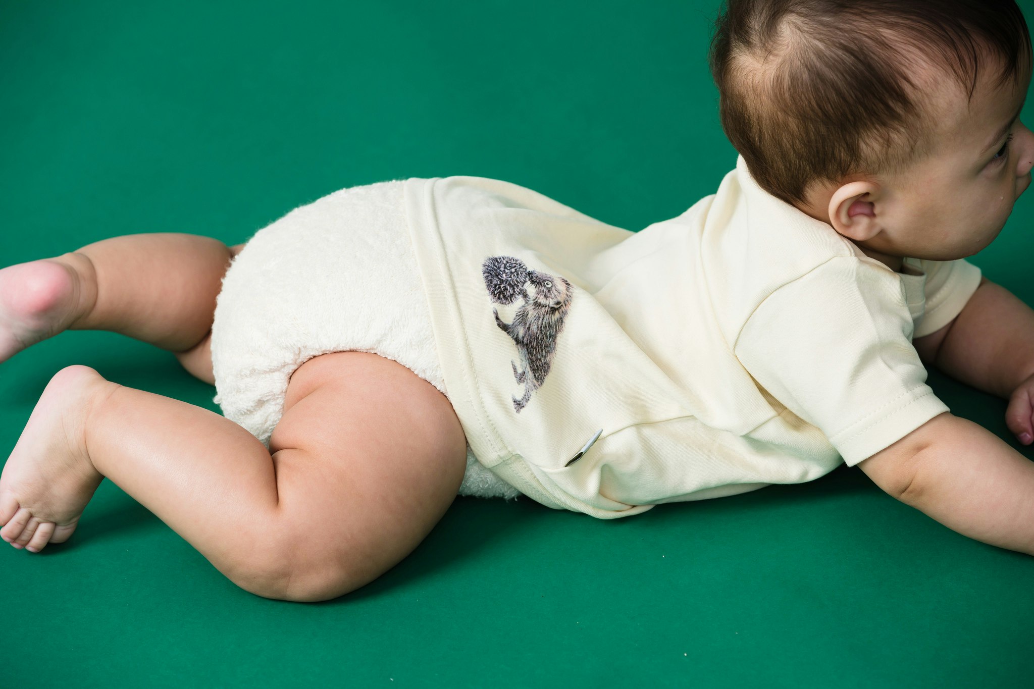 LittleLamb - Pocket m inlägg, OS