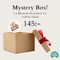 Mystery Box 2 st Mama Koala - Pocket 2.0 - Coolmax