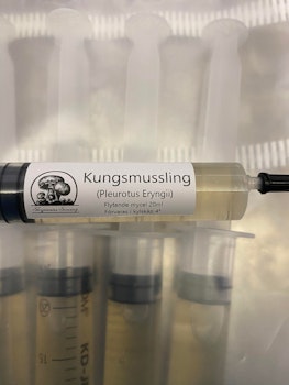 Flytande mycel Kungsmussling 20ml