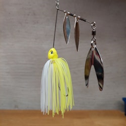 Charteruse/White - Abborre