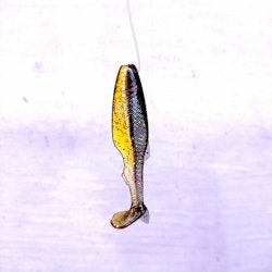 Scum Gill - Prey 7,6cm