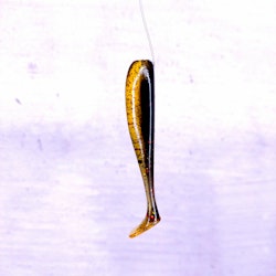 Scum Gill - Chunk 7,6cm