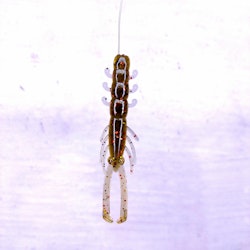 Scum Gill - NED Shrimp 8,6cm