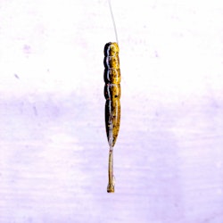 Scum Gill - NED Shrimp 8,6cm
