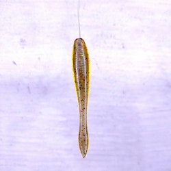 Scum Gill - DS Leech 8,8cm
